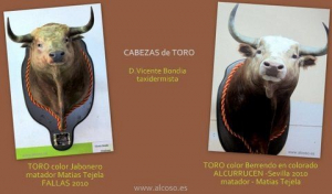 Imagen del comercio