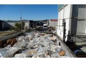 Intervienen 10.700 jamones y embutidos congelados en Fuente Vaqueros(Granada) que estaban caducados