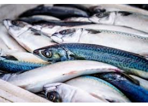 Anisakis, ¿cuándo es necesario congelar el pescado?