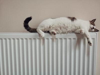 Cómo combatir el frío de forma responsable (y ahorrar en la factura energética)