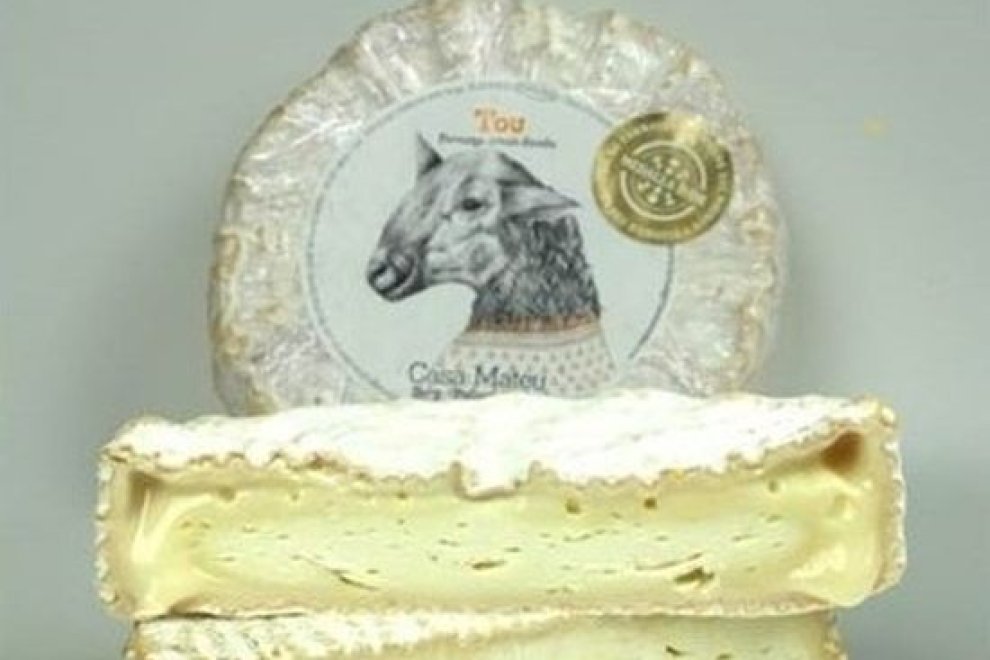 Salmonella en un queso de leche cruda