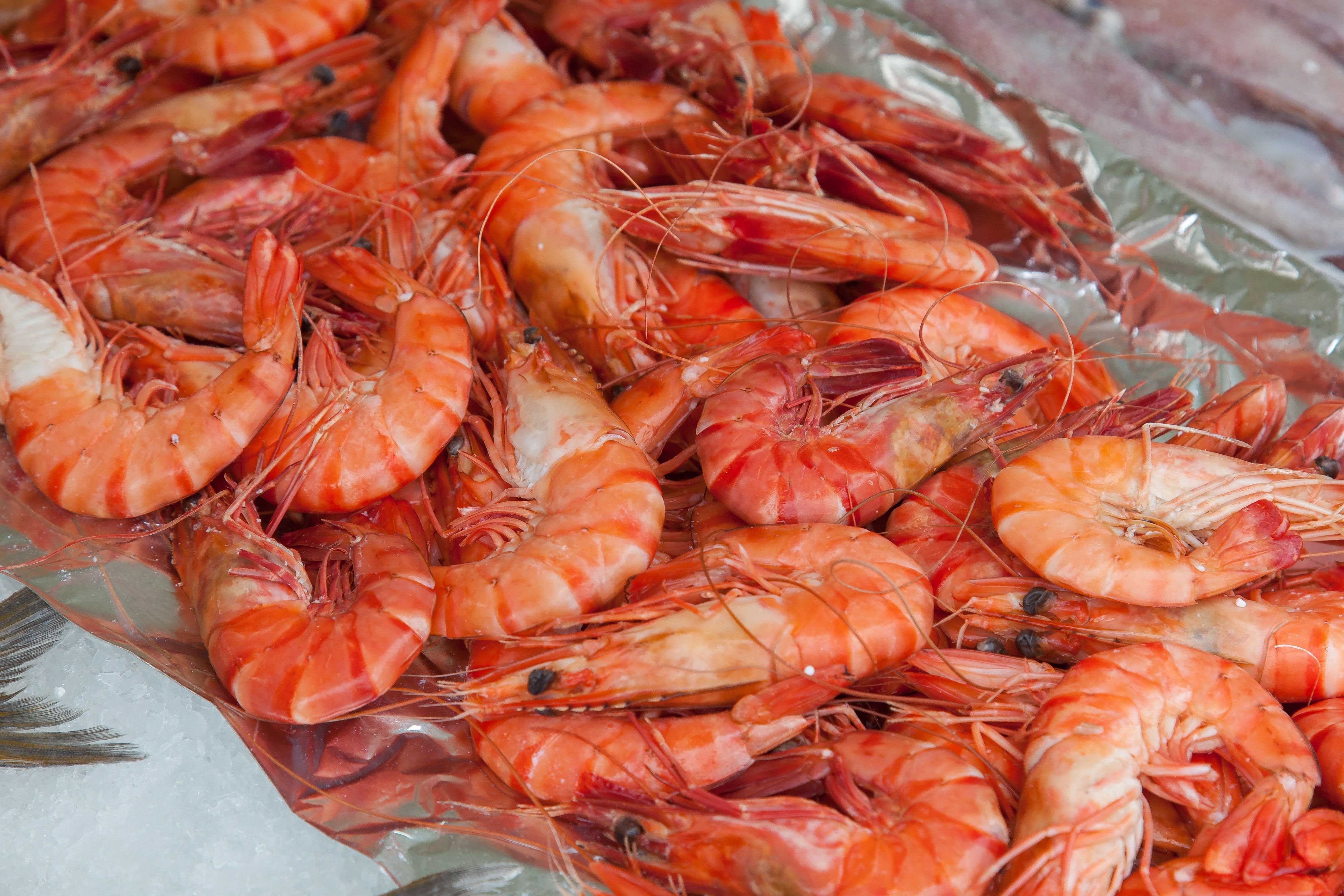 Consumo alerta por la presencia de salmonella en un lote de langostinos congelados
