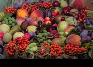 El consumo de alimentos ecológicos crece en España un 14%