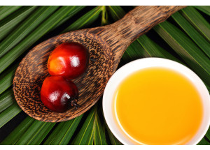 Aceite de palma: Todo lo que debes saber