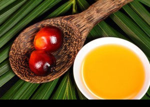 Aceite de palma: consumo, mitos y realidad