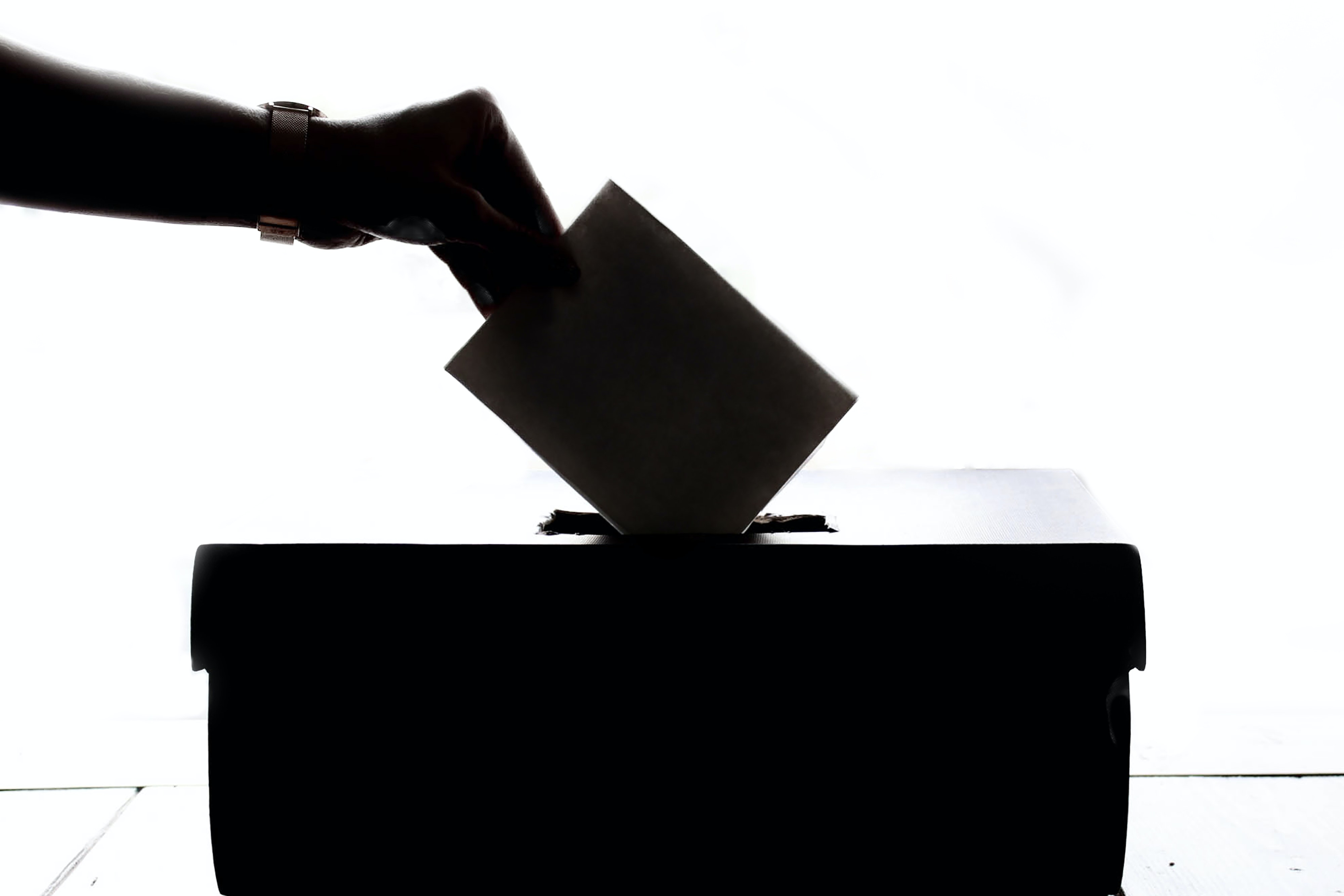 Vacaciones y elecciones: ¿qué hacer?